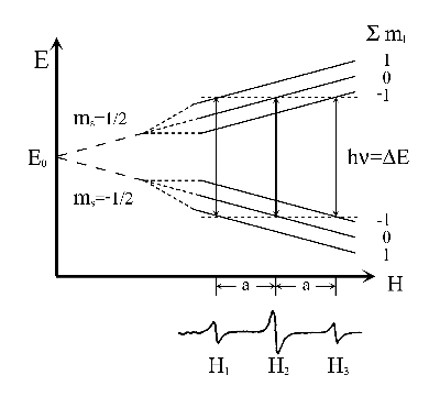 \begin{figure}\centerline{\psfig{figure=f003.ps}}
\end{figure}