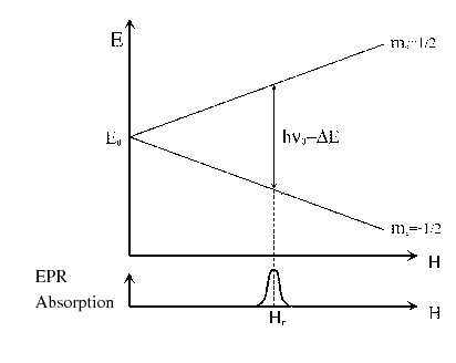 \begin{figure}\begin{picture}(16,7)(0,0)
\put(4.3,0){\psfig{figure=f001.ps}} %,w...
...5,1.6){EPR}
\put(5,1.1){Absorption}
\end{picture}\vspace*{-1.0cm}
\end{figure}